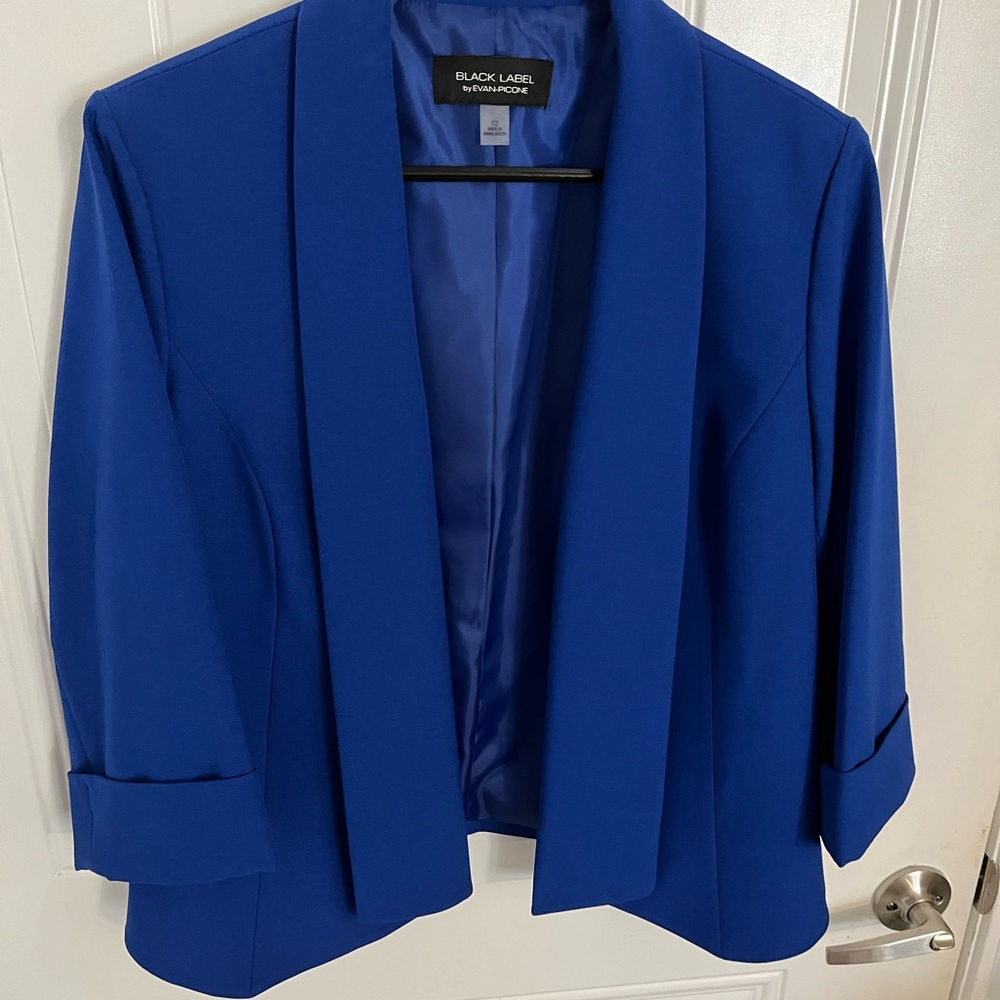 Blue Lined Jacket Evan Picone Black Label - image 1